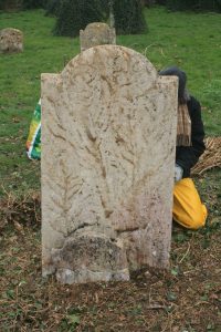 gravestone with stains left by ivy