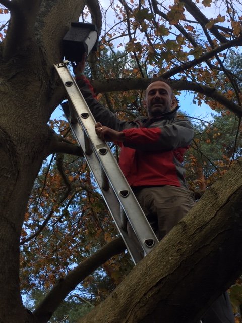 man up ladder fitting bat box