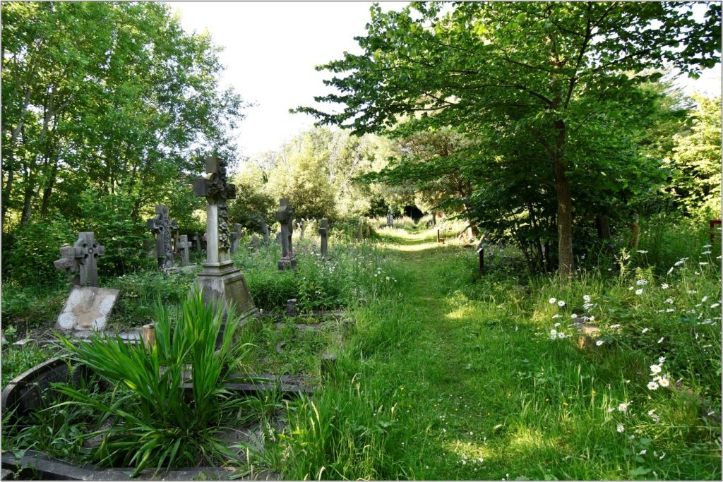 Heene Cemetery, June 2022, central pathway, looking north