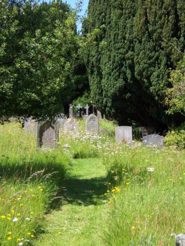 Gravestones with flowery grassland