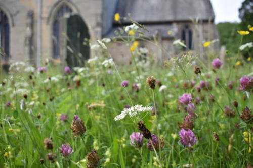 Gravestones with flowery grassland
